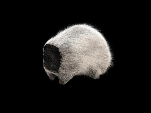 mental ray для 3ds max, фото 14