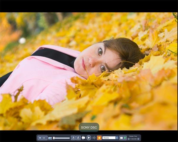 Просмотр фотографий в режиме слайд-шоу с помощью Picasa