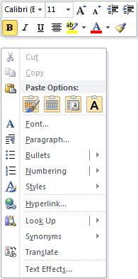 Microsoft Office 2010, фото 9