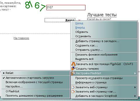 Интеграция в Firefox с помощью FlashGot