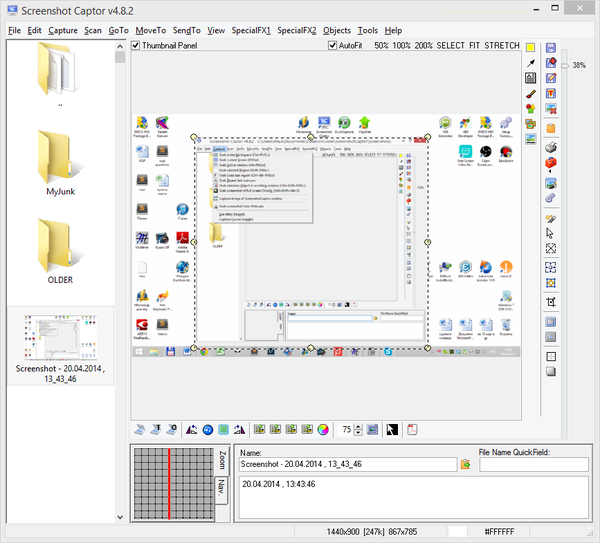 Интерфейс Screenshot Captor