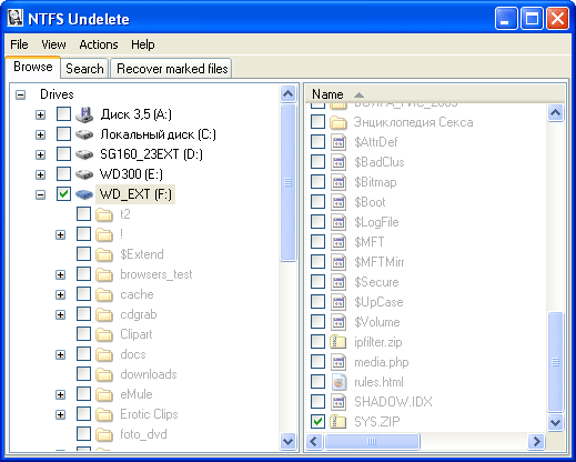 NTFS Undelete