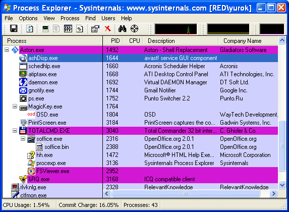 Рабочее окно Process Explorer