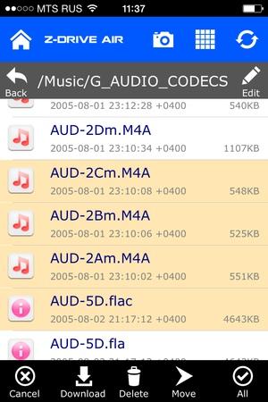 Z-Drive Air на iOS