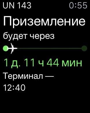 Умные часы Apple Watch Sport