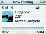 Apple iPod nano, фото 17