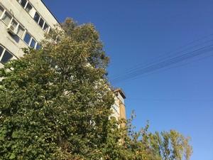 Планшет Apple iPad mini 4:, фото 4