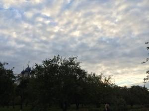 Подробный обзор и тестирование Apple iPhone 5s, часть 2:, фото 11
