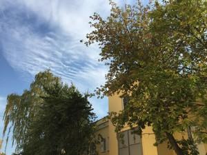 Смартфон Apple iPhone 6 Plus:, фото 4