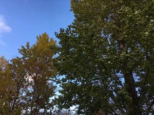 Смартфон Apple iPhone 6s Plus:, фото 2