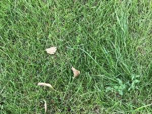 Смартфон Apple iPhone 7 Plus:, фото 12