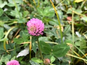 Смартфон Apple iPhone 8:, фото 23