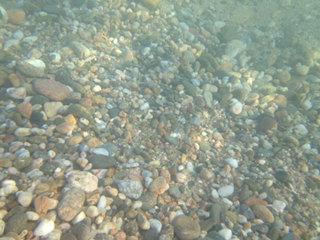 Фотосъемка с чехлом Lifeproof в воде Фотосъемка с чехлом Lifeproof в воде