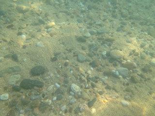 Фотосъемка с чехлом Lifeproof в воде Фотосъемка с чехлом Lifeproof в воде