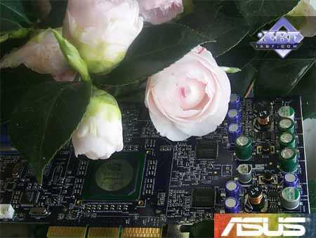 ASUS V8440 на базе NVIDIA GeForce4 Ti 4400 и V8460Ultra на базе GeForce4 Ti 4600, фото 1
