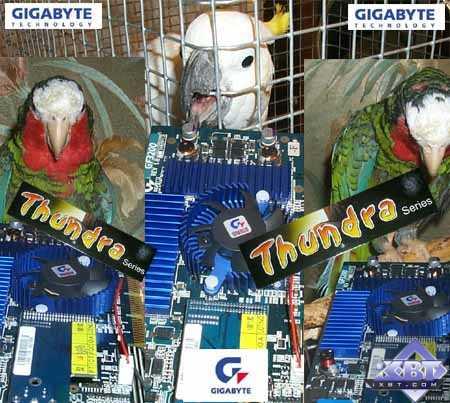 Gigabyte Thundra GeForce3 Ti 200 на базе NVIDIA GeForce3 Ti 200, фото 1