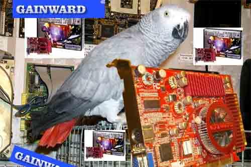 Gainward GeForce2 Ti/500 XP на базе NVIDIA GeForce2 Ti, фото 1