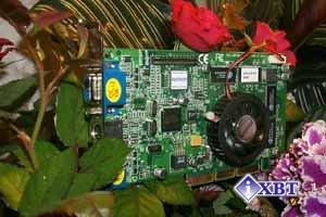 Gainward CARDEXpert GeForce2 MX400 Golden Sample VIVO на базе NVIDIA GeForce2 MX400, фото 2