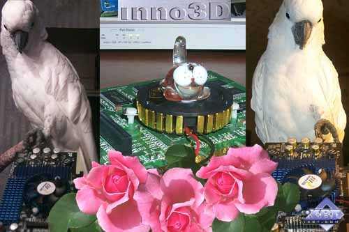 Inno3D Tornado GeForce2 Ti и GeForce3 Ti 200 на базе NVIDIA GeForce2 Ti и GeForce3 Ti 200, фото 1