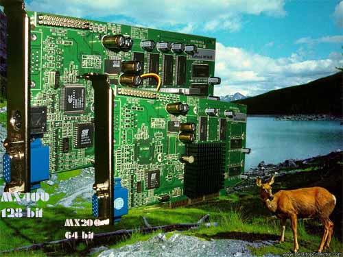 Leadtek WinFast GeForce2 MX DH Pro 64 МБ, Leadtek WinFast GeForce2 MX64 и Leadtek WinFast GeForce2 MX MAX на базе NVIDIA GeForce2 MX, MX200 и MX400, фото 1