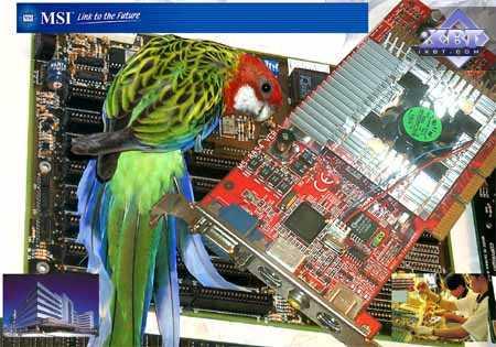 MSI G3Ti500 Pro-VTG на базе NVIDIA GeForce3 Ti 500, фото 1