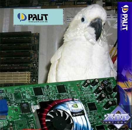 Palit Daytona GeForce4 Ti 4600, фото 1