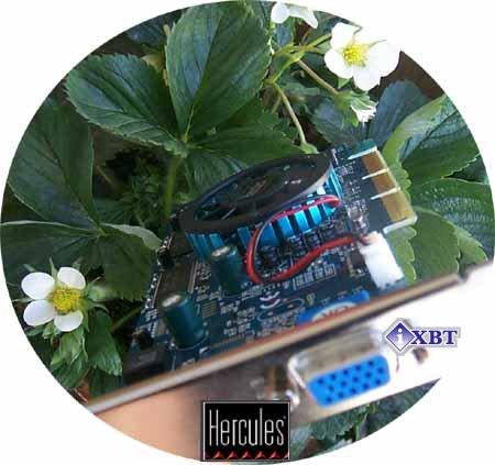 Hercules 3D Prophet 4000XT на базе STMicroelectronics Kyro, фото 1