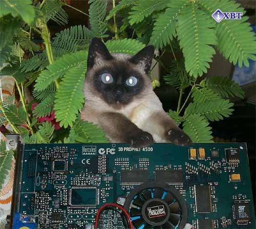 Hercules 3D Prophet 4500 на базе STMicroelectronics Kyro II, фото 1