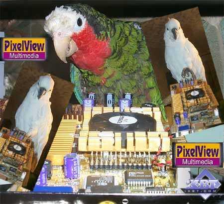 Prolink PixelView GeForce3 Ti 200 на базе NVIDIA GeForce3 Ti 200, фото 1