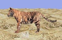 DirectX 8.0: Вопросы и ответы, фото 2