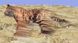 DirectX 8.0: Вопросы и ответы, фото 3