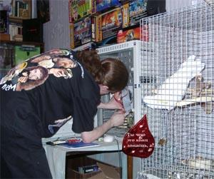 Рейтинг 3D-акселераторов за июнь 2004 года, фото 2