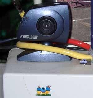 ASUS V9950 Ultra Deluxe, фото 14