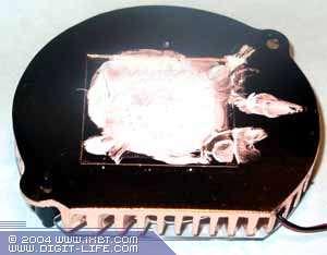 AOpen Aeolus GeForce FX 5900XT, фото 27