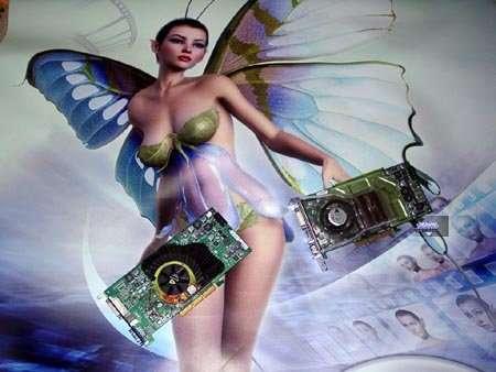 NVIDIA GeForce FX 5950 Ultra (NV38), GeForce FX 5700 Ultra (NV36), GeForce FX 5700, GeForce FX 5600XT, фото 1