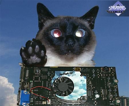 VPU 3Dlabs P10 и видеокарта Wildcat VP870 на его основе (разбит на части), фото 1