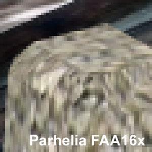 Обзор Matrox Parhelia 128 МБ (одностраничный вариант), фото 131