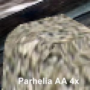 Обзор Matrox Parhelia 128 МБ (одностраничный вариант), фото 125