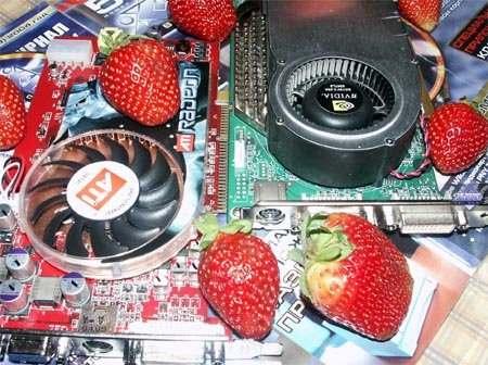 ATI Radeon X800 и NVIDIA GeForce 6800, фото 1