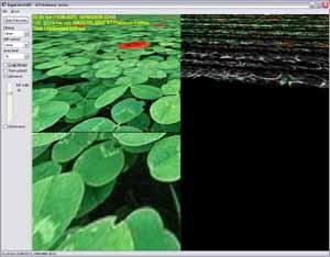ATI Radeon X800 и NVIDIA GeForce 6800, фото 21