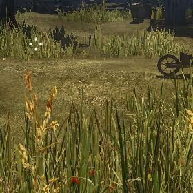 Foliage quality High