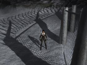 Shadows
