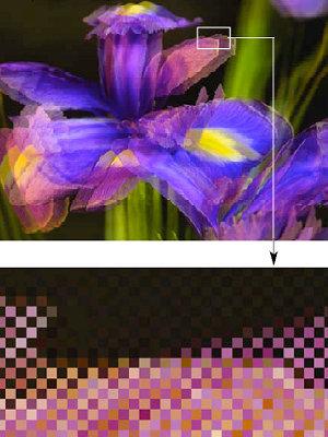 NVIDIA 3D Vision, фото 11