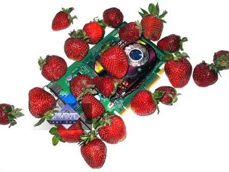 GeForce 8500GT/ 8600GT/ 8600GTS, фото 1