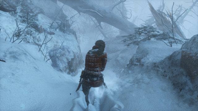 Тестирование производительности в игре Rise of the Tomb Raider, фото 22