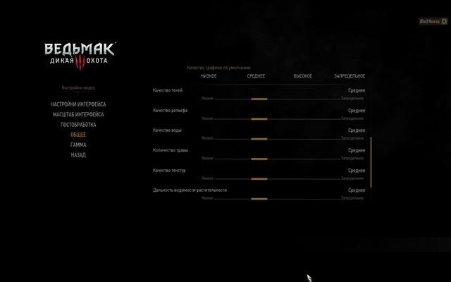 Тестирование в игре The Witcher 3: Wild Hunt на двух бюджетных платформах:, фото 2