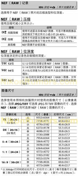 Утечка подтверждает, что разрешение камеры Nikon Z8 равно 60 Мп, фото 1