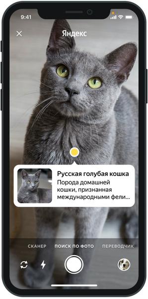 Умная камера в приложении Яндекс расскажет всё об окружении, фото 2