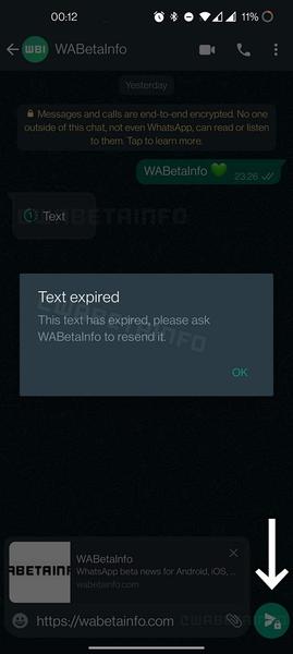 В WhatsApp появятся сообщения, которые можно открыть только один раз, фото 1