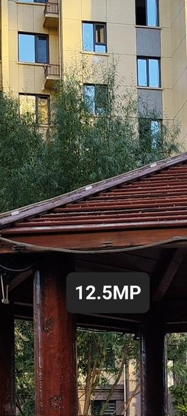 Первые фотографии с Xiaomi 12T Pro показывают, есть ли смысл в 200 Мп, фото 1